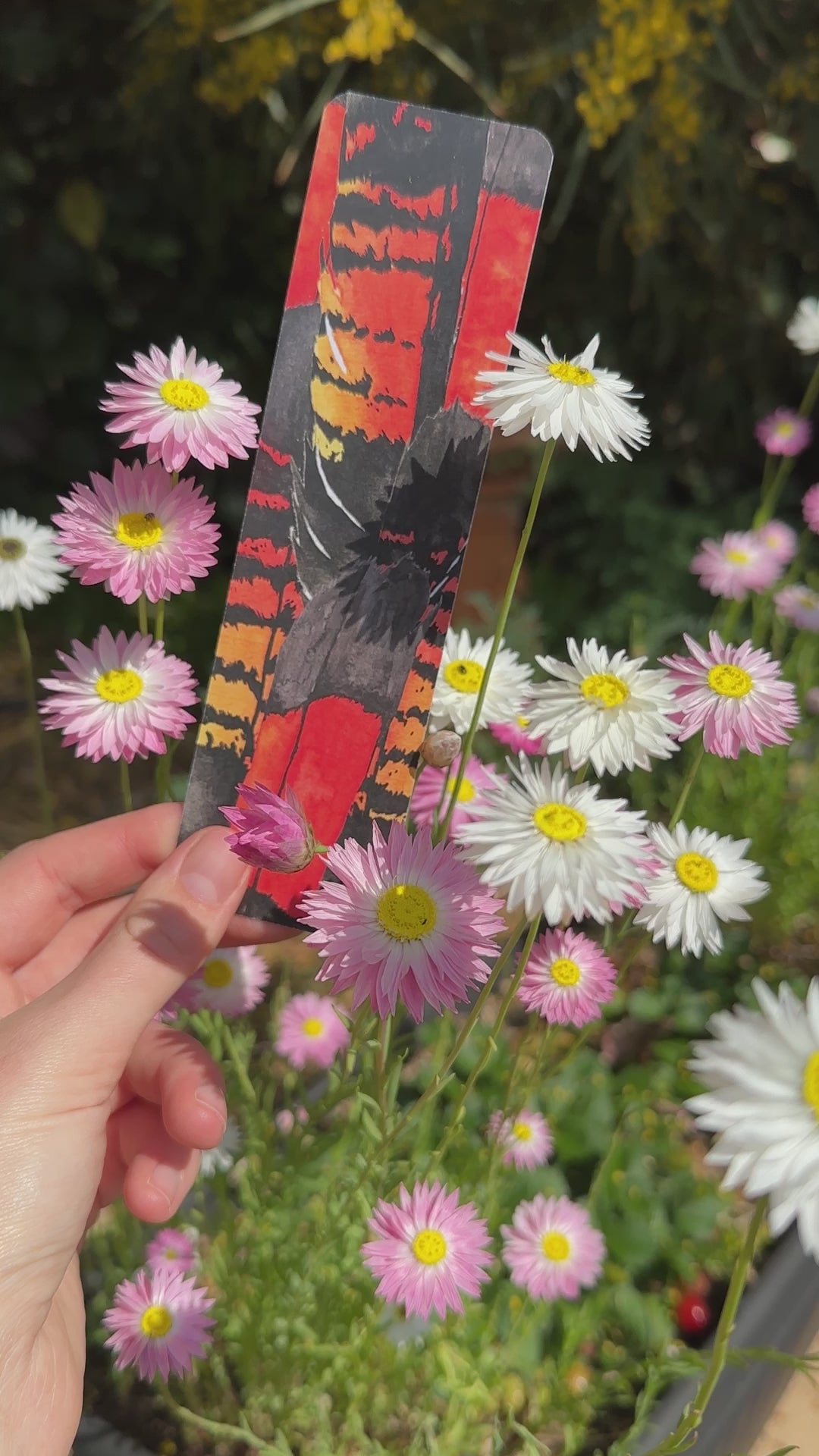 Bookmark: Red-Tail Black Cockatoo Feather