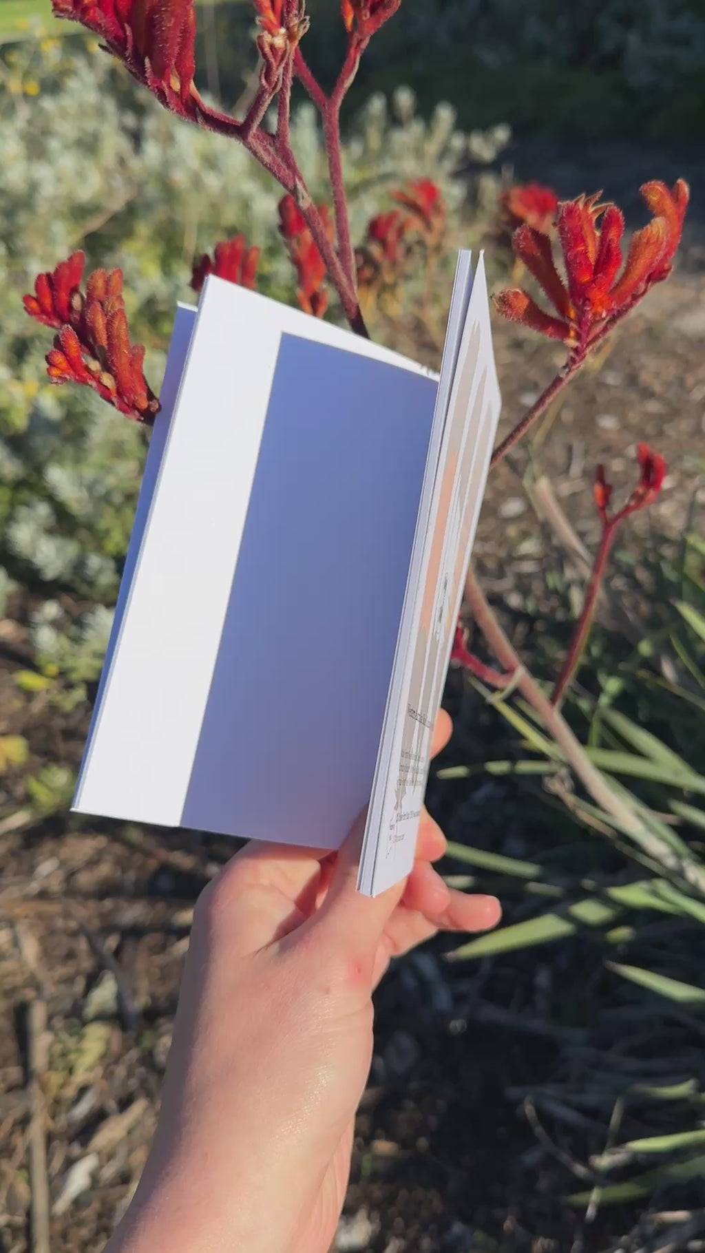A6 Pocket Notebook: WA Feathers