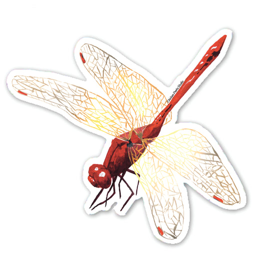 Scarlet Percher Dragonfly Sticker