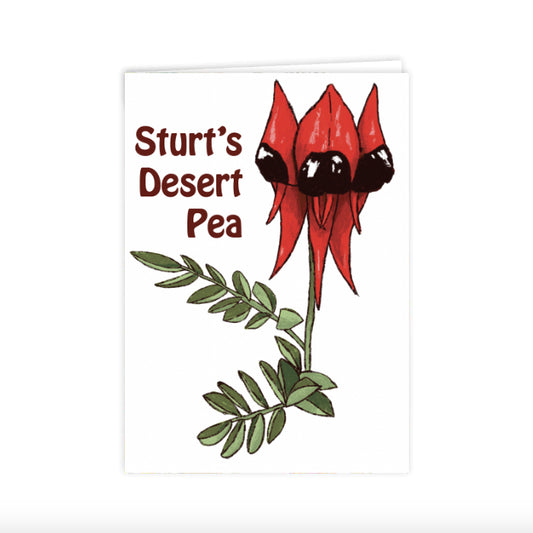 Card: Sturt Desert Pea