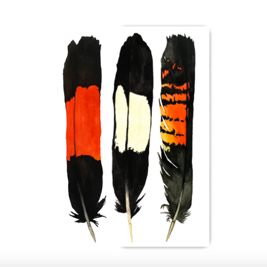 A6 Pocket Notebook: WA Feathers