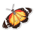 Sticker: Wanderer Butterfly