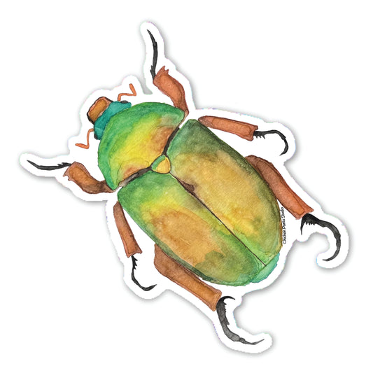 Christmas Beetle Sticker