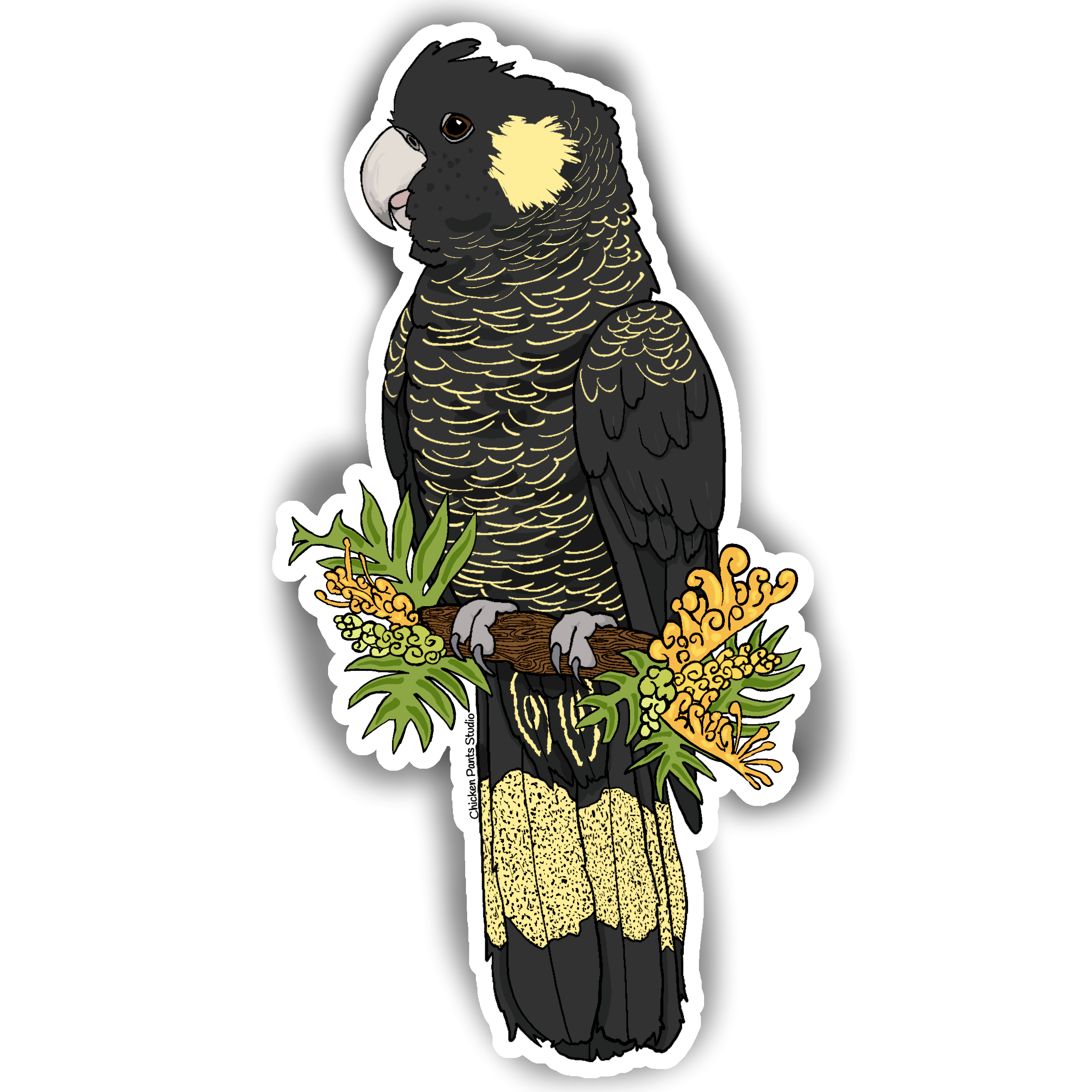 Sticker: Yellow-Tailed Black Cockatoo