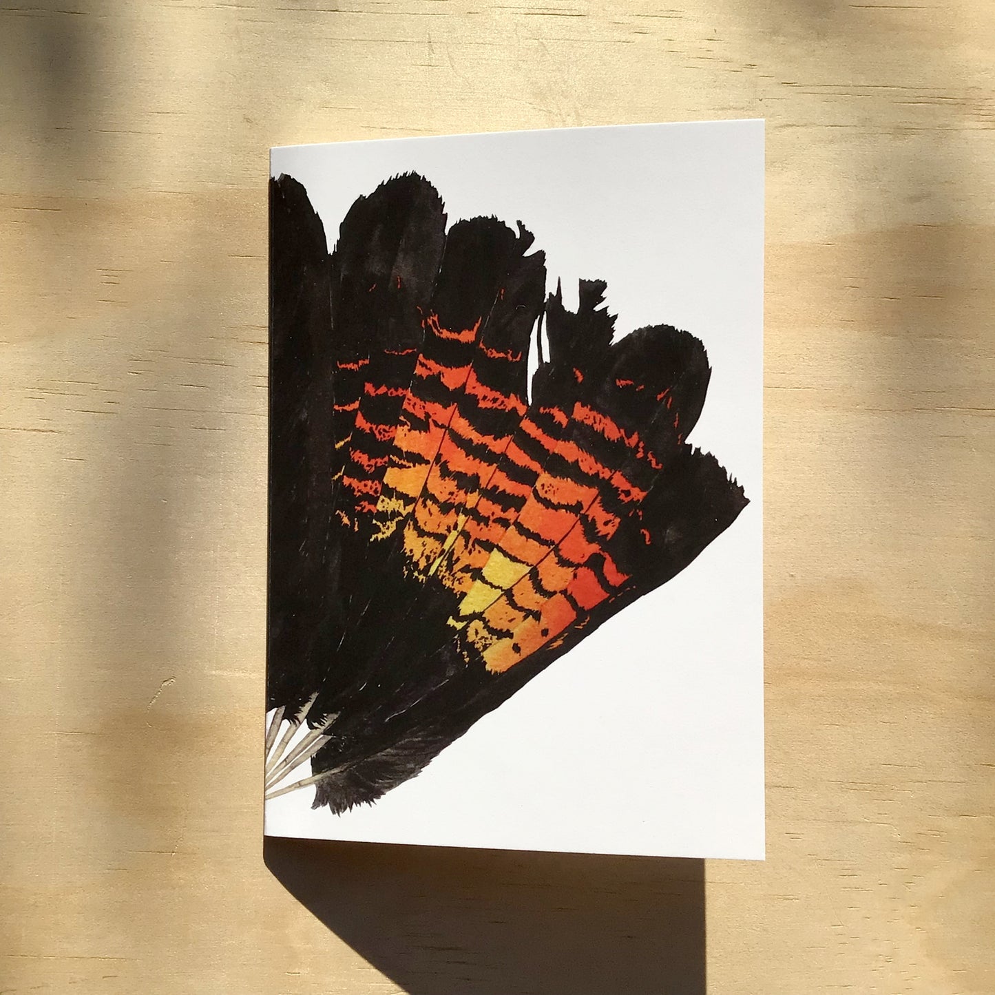 Card: Female RTBC Feather Fan