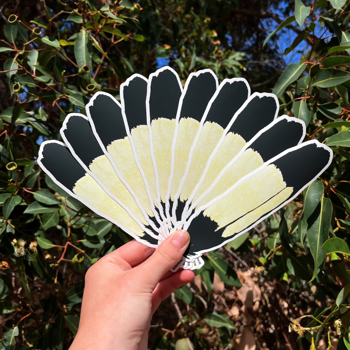 Sticker: Carnaby's Black Cockatoo Feather