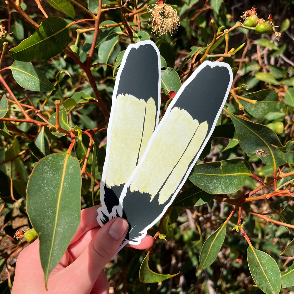 Sticker: Carnaby's Black Cockatoo Feather