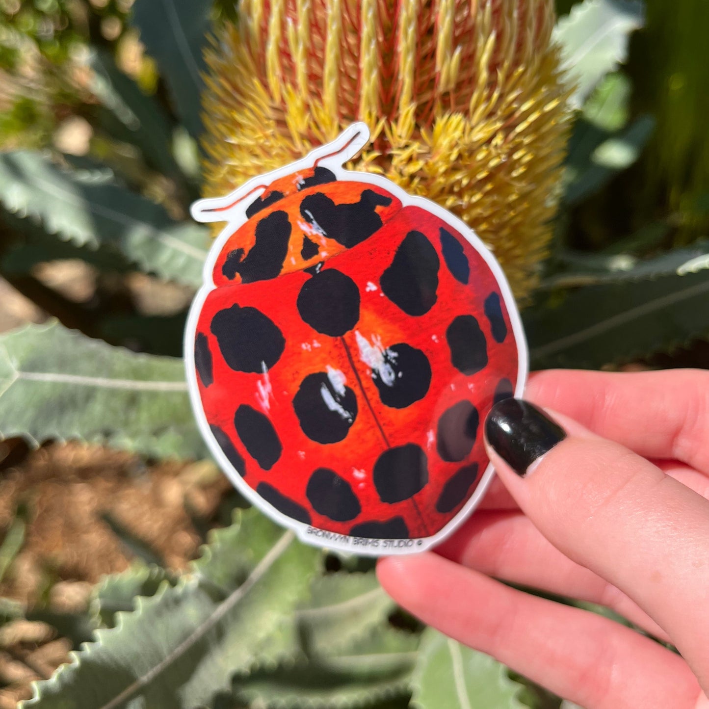 Sticker: Ladybird