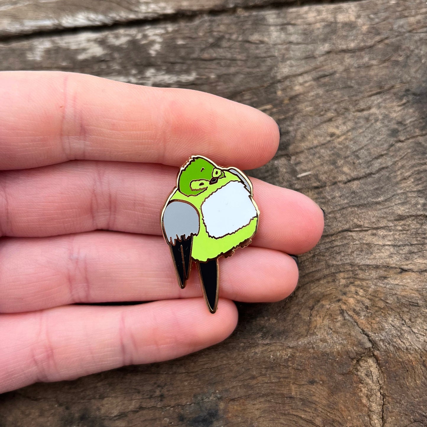 Enamel Pin: Aromantic