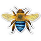 Sticker: Blue-Banded Bee