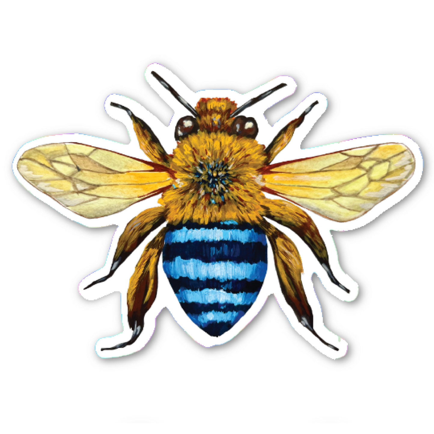 Sticker: Blue-Banded Bee