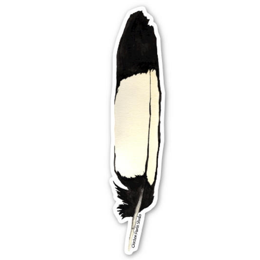 Sticker: Carnaby's Black Cockatoo Feather