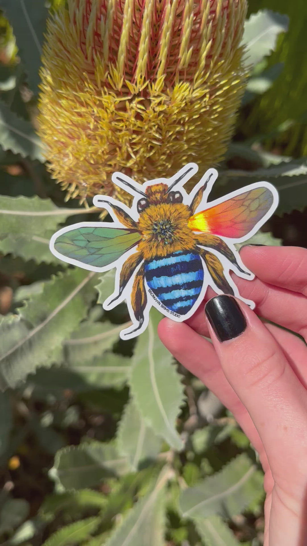 Sticker: Blue-Banded Bee