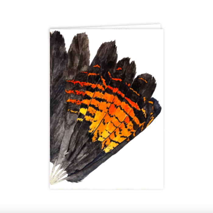 Card: Female RTBC Feather Fan