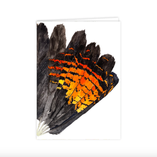 Red-Tailed Black Cockatoo Fan Greeting Card