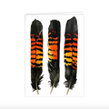 Card: Female RTBC Feathers
