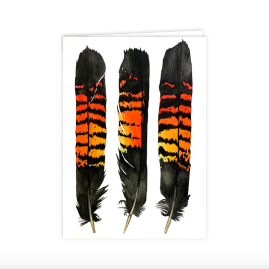 Red-Tailed Black Cockatoo Feather Greeting Card