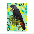 A6 Pocket Notebook: Female RTBC II