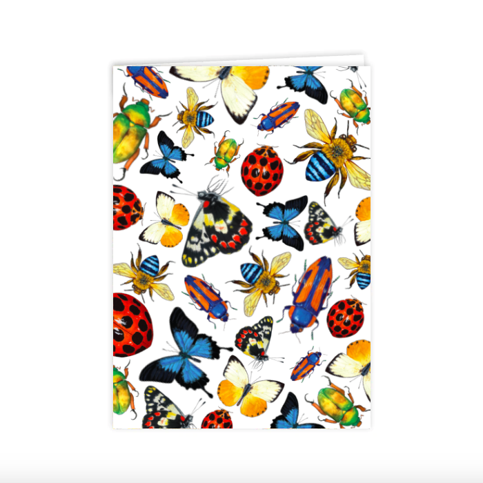 Card Pointed Insects Card: Australian Insects – Chicken Pants Studio