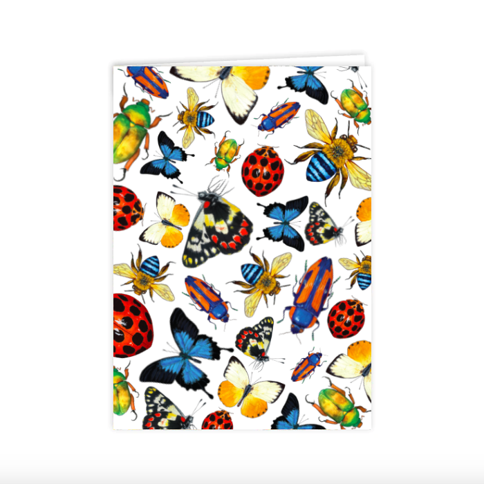 Card: Australian Insects