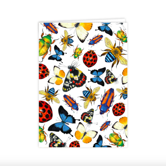 Australian Insect Greeting Card
