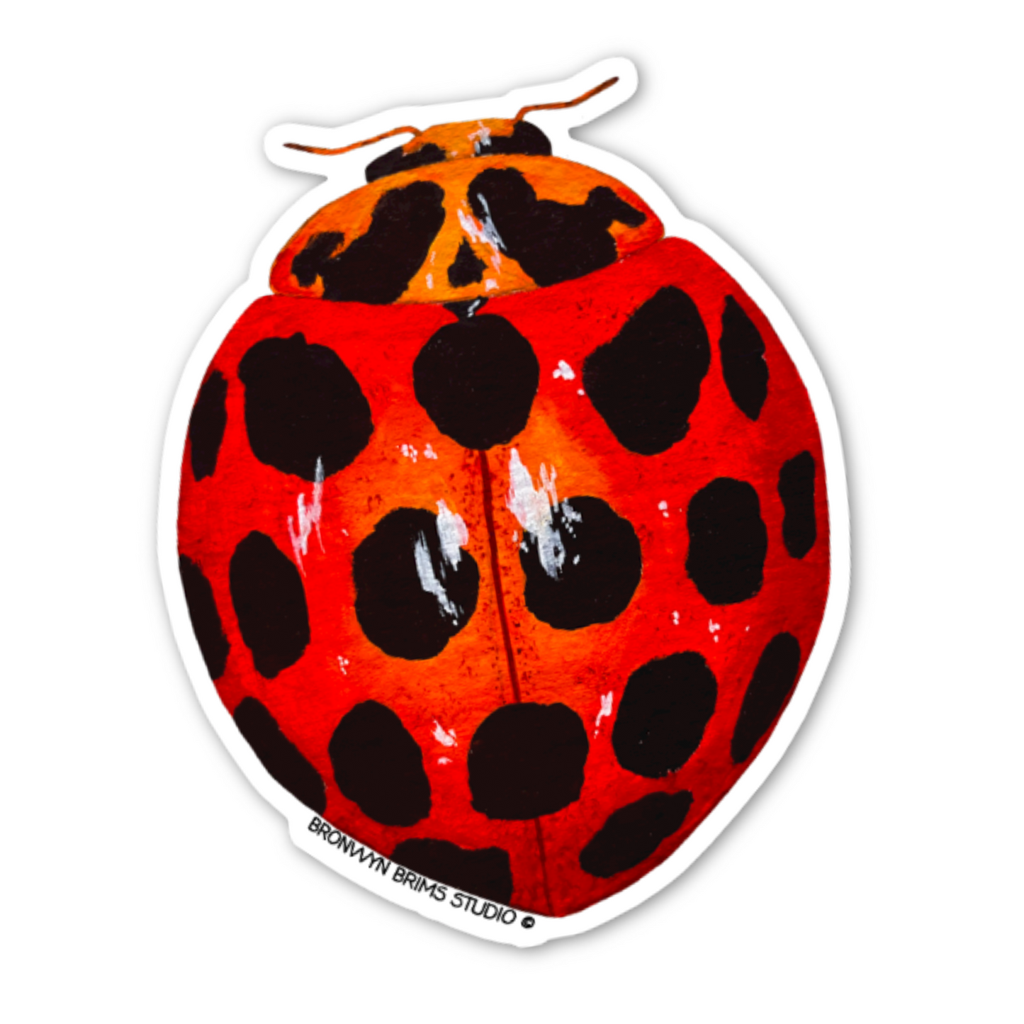 Sticker: Ladybird