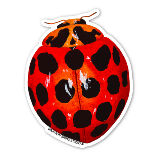 Common Spotted Ladybird Sticker