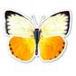 Sticker: Migrant Butterfly