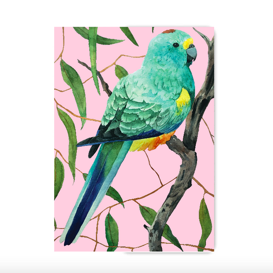 Mulga Parrot Sketchbook