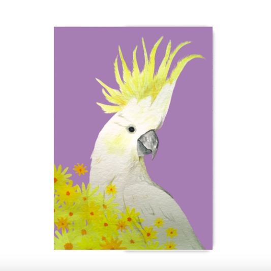 Sulphur-Crested Cockatoo Sketchbook